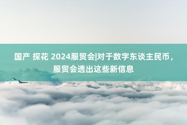 国产 探花 2024服贸会|对于数字东谈主民币，服贸会透出这些新信息