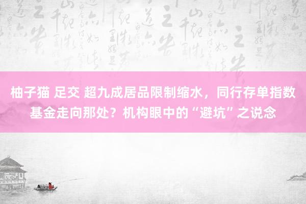 柚子猫 足交 超九成居品限制缩水，同行存单指数基金走向那处？机构眼中的“避坑”之说念