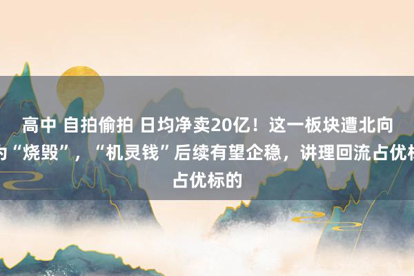 高中 自拍偷拍 日均净卖20亿！这一板块遭北向转为“烧毁”，“机灵钱”后续有望企稳，讲理回流占优标的