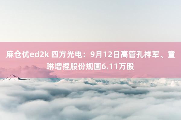 麻仓优ed2k 四方光电：9月12日高管孔祥军、童琳增捏股份规画6.11万股