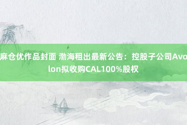 麻仓优作品封面 渤海租出最新公告：控股子公司Avolon拟收购CAL100%股权