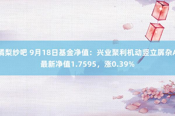 橘梨纱吧 9月18日基金净值：兴业聚利机动竖立羼杂A最新净值1.7595，涨0.39%