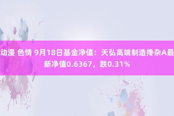 动漫 色情 9月18日基金净值：天弘高端制造搀杂A最新净值0.6367，跌0.31%