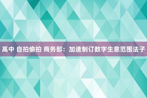 高中 自拍偷拍 商务部：加速制订数字生意范围法子