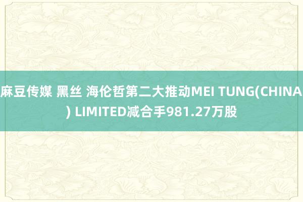 麻豆传媒 黑丝 海伦哲第二大推动MEI TUNG(CHINA) LIMITED减合手981.27万股