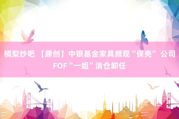 橘梨纱吧 【原创】中银基金家具频现“保壳” 公司FOF“一姐”清仓卸任