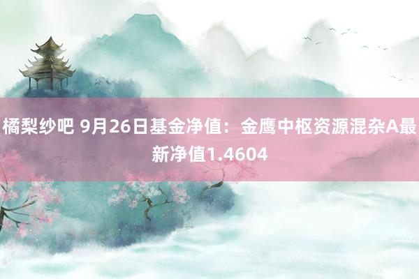 橘梨纱吧 9月26日基金净值：金鹰中枢资源混杂A最新净值1.4604