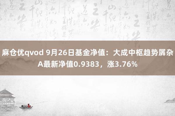 麻仓优qvod 9月26日基金净值：大成中枢趋势羼杂A最新净值0.9383，涨3.76%