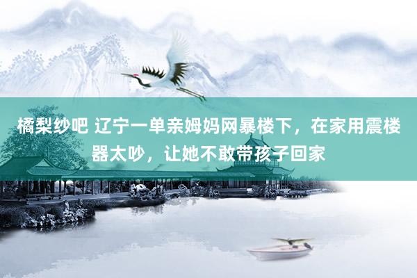 橘梨纱吧 辽宁一单亲姆妈网暴楼下，在家用震楼器太吵，让她不敢带孩子回家