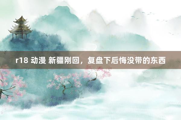 r18 动漫 新疆刚回，复盘下后悔没带的东西