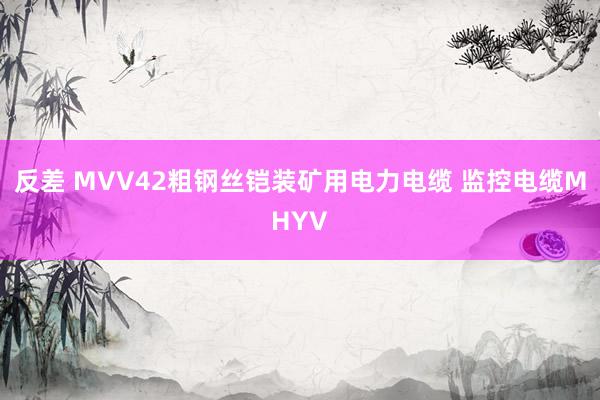 反差 MVV42粗钢丝铠装矿用电力电缆 监控电缆MHYV