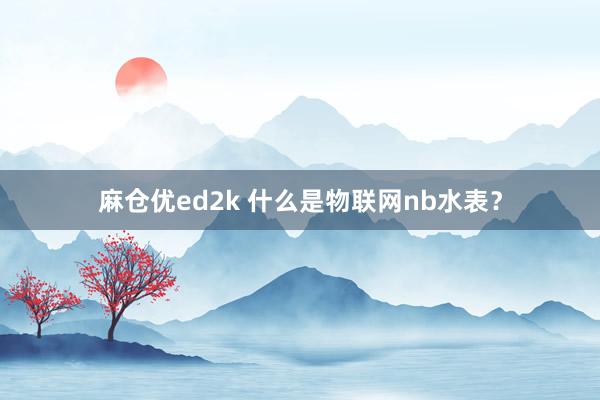 麻仓优ed2k 什么是物联网nb水表？