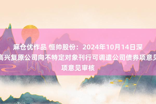 麻仓优作品 恒帅股份：2024年10月14日深交所高兴复原公司向不特定对象刊行可调遣公司债券项意见审核