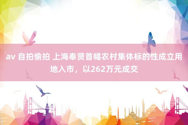 av 自拍偷拍 上海奉贤首幅农村集体标的性成立用地入市，以262万元成交