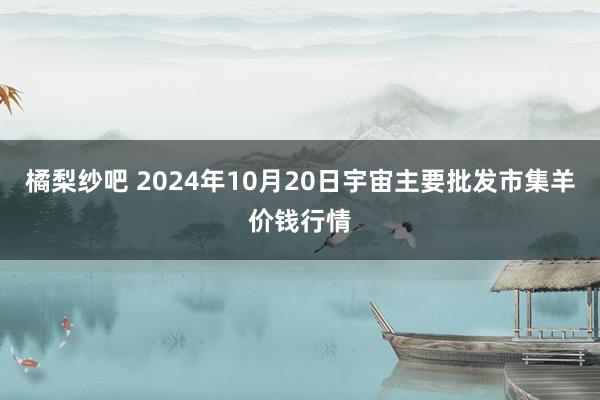 橘梨纱吧 2024年10月20日宇宙主要批发市集羊价钱行情