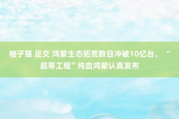 柚子猫 足交 鸿蒙生态拓荒数目冲破10亿台， “超等工程”纯血鸿蒙认真发布