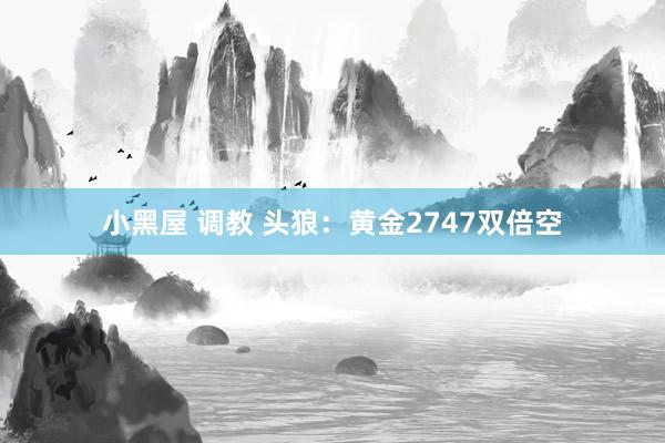 小黑屋 调教 头狼：黄金2747双倍空