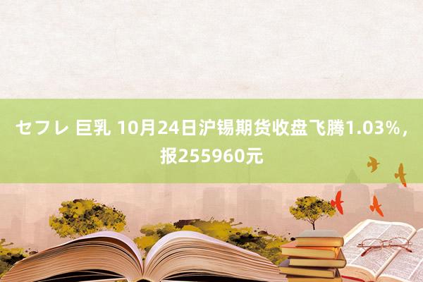 セフレ 巨乳 10月24日沪锡期货收盘飞腾1.03%，报255960元