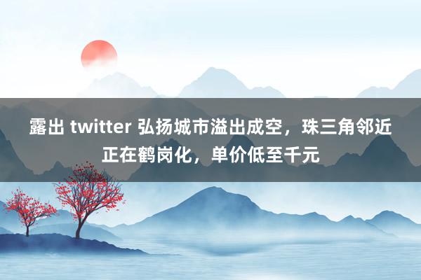 露出 twitter 弘扬城市溢出成空，珠三角邻近正在鹤岗化，单价低至千元