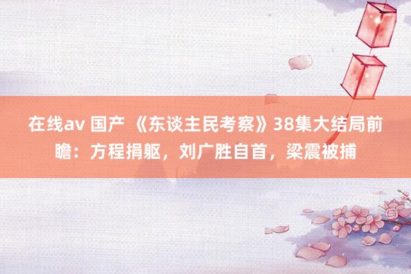 在线av 国产 《东谈主民考察》38集大结局前瞻：方程捐躯，刘广胜自首，梁震被捕