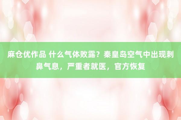 麻仓优作品 什么气体败露？秦皇岛空气中出现刺鼻气息，严重者就医，官方恢复