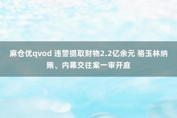 麻仓优qvod 违警摄取财物2.2亿余元 骆玉林纳贿、内幕交往案一审开庭