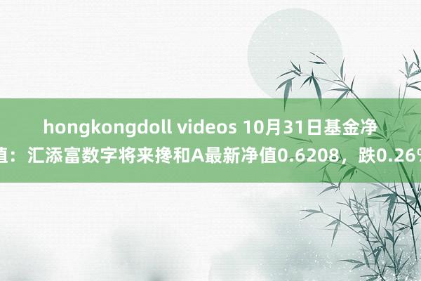 hongkongdoll videos 10月31日基金净值：汇添富数字将来搀和A最新净值0.6208，跌0.26%