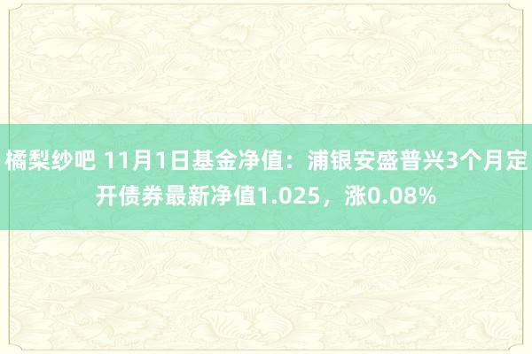 橘梨纱吧 11月1日基金净值：浦银安盛普兴3个月定开债券最新净值1.025，涨0.08%