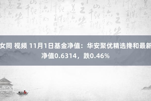 女同 视频 11月1日基金净值：华安聚优精选搀和最新净值0.6314，跌0.46%