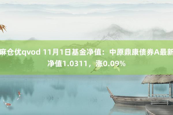 麻仓优qvod 11月1日基金净值：中原鼎康债券A最新净值1.0311，涨0.09%