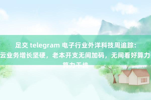 足交 telegram 电子行业外洋科技周追踪：CSP云业务增长坚硬，老本开支无间加码，无间看好算力干线