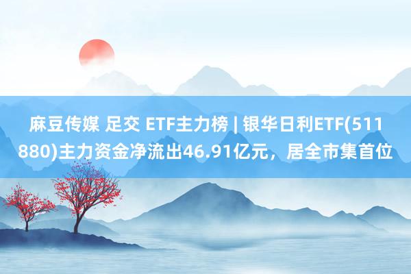 麻豆传媒 足交 ETF主力榜 | 银华日利ETF(511880)主力资金净流出46.91亿元，居全市集首位