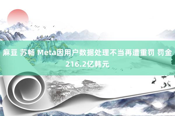 麻豆 苏畅 Meta因用户数据处理不当再遭重罚 罚金216.2亿韩元